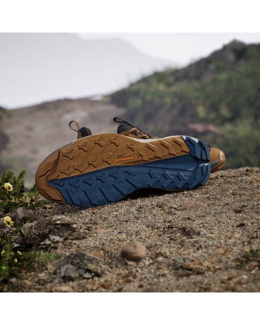 Adidas Blue Terrex Free Hiker 2.0 Low Gore-Tex Hiking Shoes for men