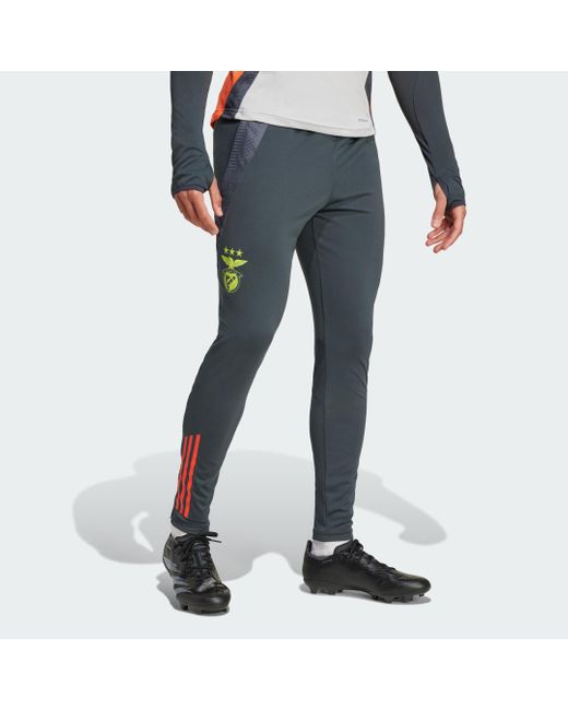 Adidas Originals Blue Benfica Tiro 24 Competition Training Pants for men