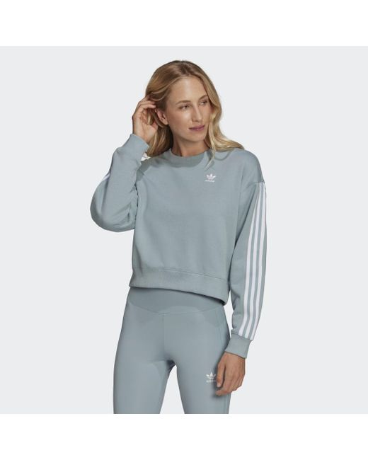 Adidas Gray Adicolor Classics Sweatshirt