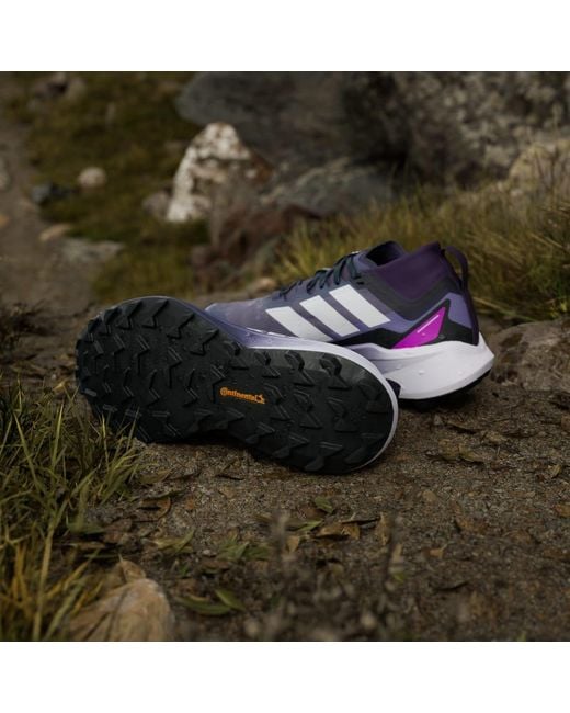 Adidas Blue Terrex Agravic Gtx Trail Running Shoes