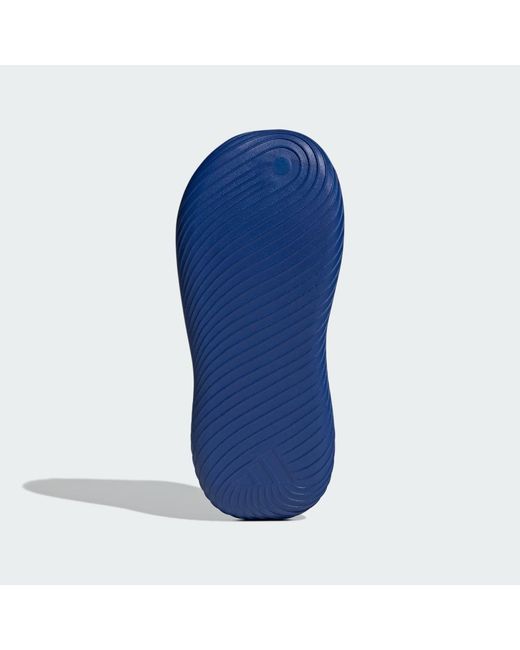 Adidas Blue Purechill Slides for men