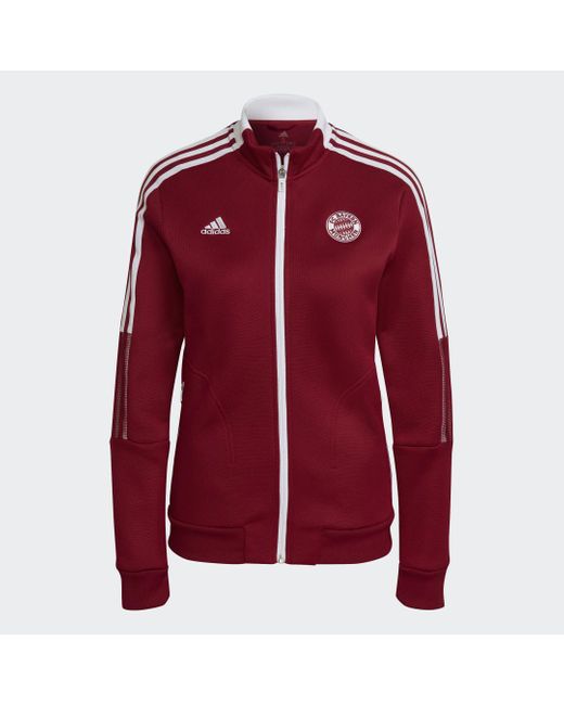 Adidas Red Fc Bayern Tiro Anthem Jacket