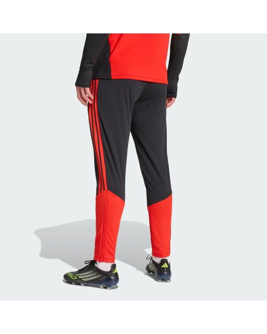 Adidas Red Belgium 26 Tiro Training Pants for men