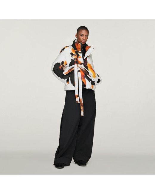 Adidas Black Y-3 Aop Puffer Jacket
