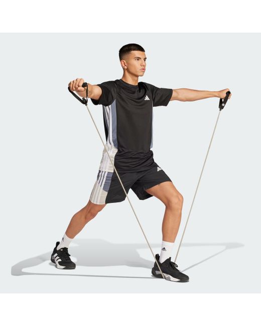 Adidas Originals Black Train Essentials Seasonal Colorblock Tee for men