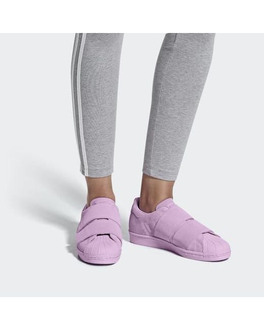 superstar adidas purper