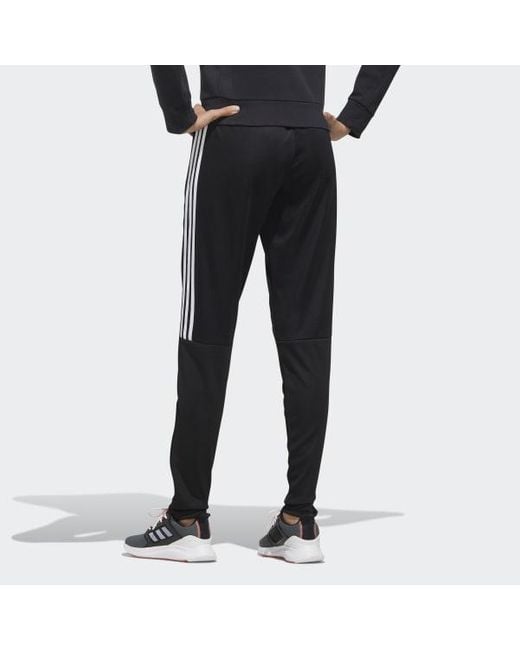 adidas sereno pants