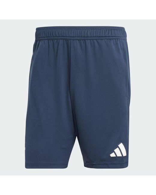 Adidas Blue Team Gb Training Shorts for men