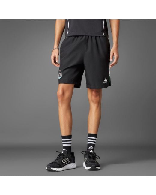 Adidas Gray Newcastle United Fc Ubp Shorts for men