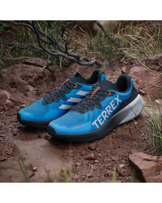 adidas Terrex Agravic 3 Trail Running Shoes in Blue for Men | Lyst UK