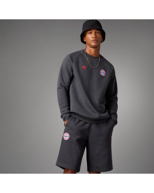 Fc bayern hoodie herren discount