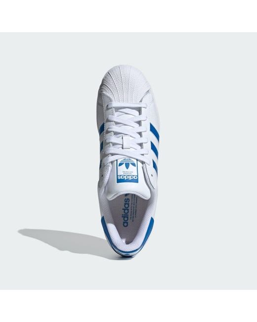 Adidas Blue Superstar Shoes for men
