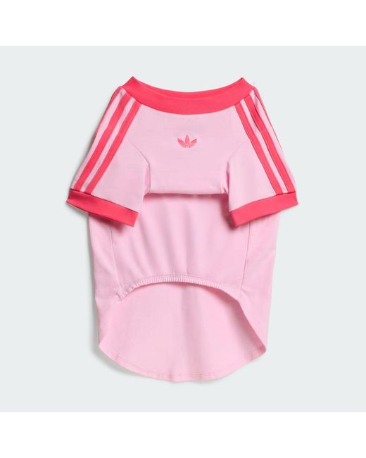 Adidas Pink Pet Cali Tee
