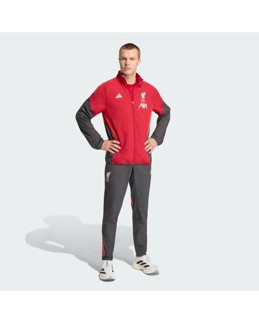 Adidas Gray Liverpool Fc Tiro 25 Competition Presentation Tracksuit Bottoms for men