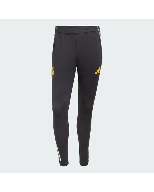 Adidas Blue Real Madrid Avengers 25/26 Tiro 25 Competition Training Pants for men