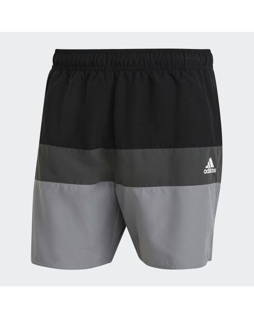 Adidas Gray Short-Length Colorblock Swim Shorts for men