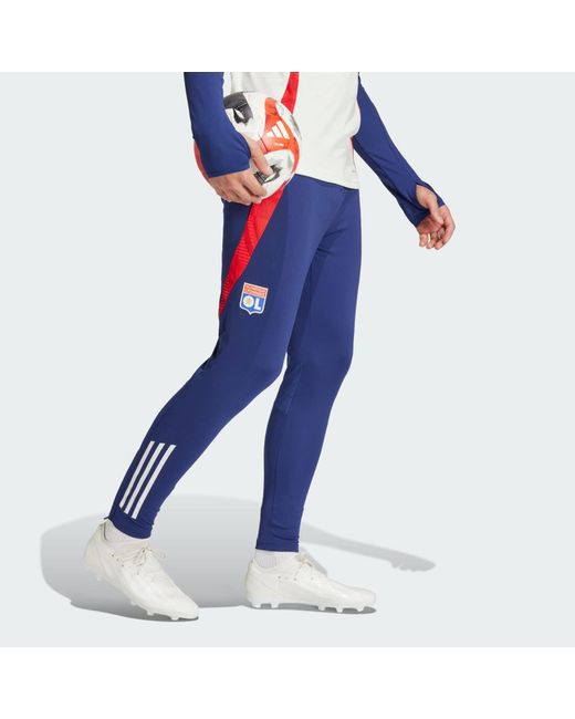 Adidas Blue Olympique Lyonnais Tiro 24 Training Pants for men