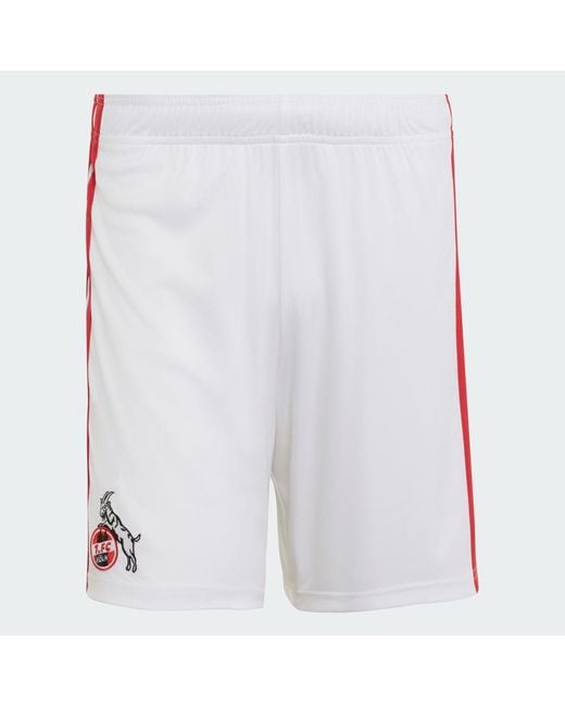 Adidas White 1. Fc Koeln 26/27 Home Shorts for men