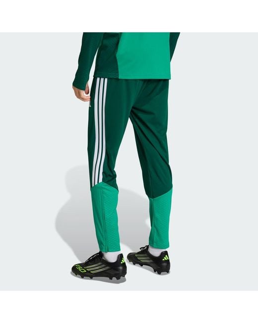 Adidas Green Algeria 26 Training Pants for men