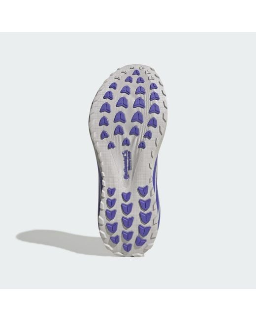 Adidas Gray Hyperboost Gtx Shoes