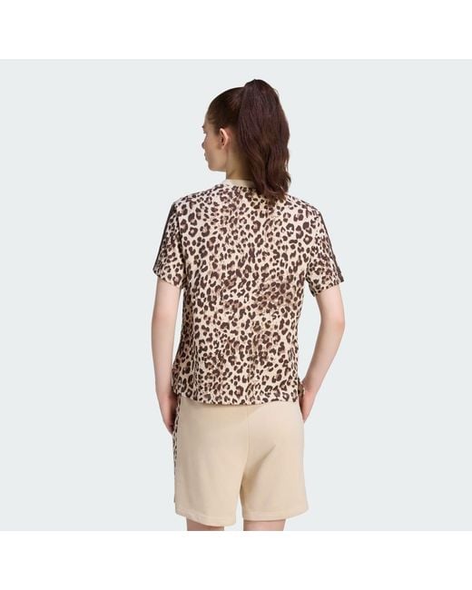 Adidas Brown Seasonal Essentials Animal Print T-Shirt