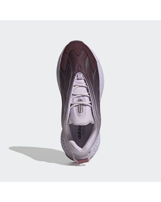 Adidas Purple Ozrah Shoes
