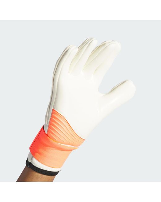 Adidas Multicolor Copa Pro Goalkeeper Gloves