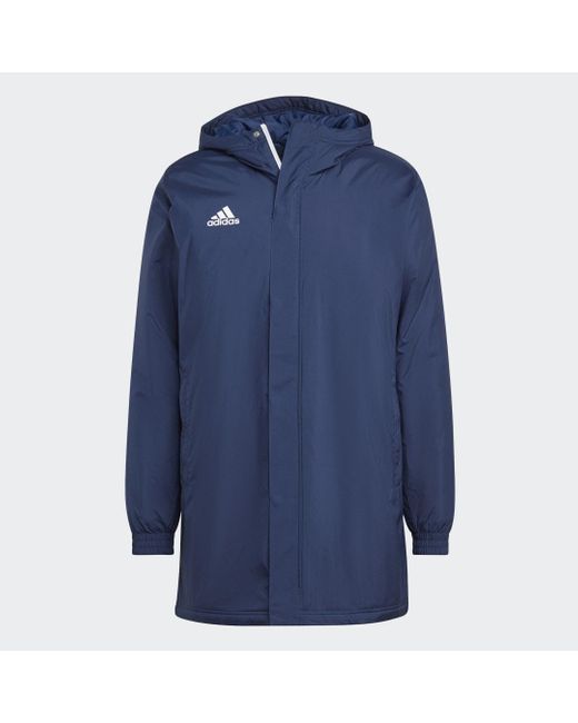 Adidas Blue Entrada 22 Stadium Jacket for men