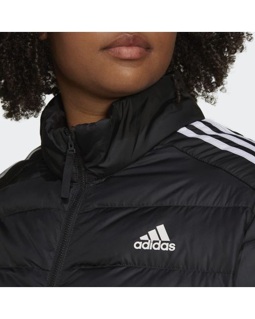 plus size adidas windbreaker