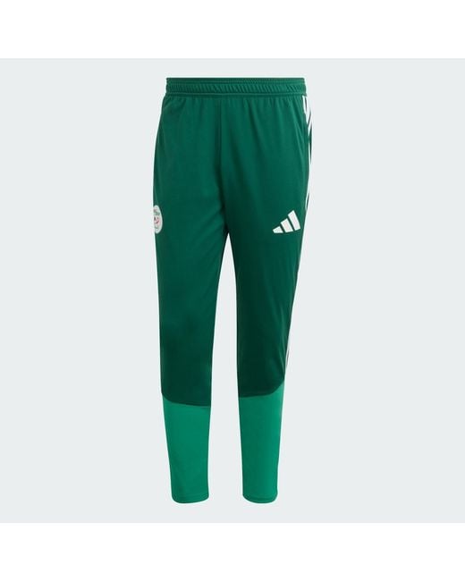 Adidas Green Algeria 26 Training Pants for men