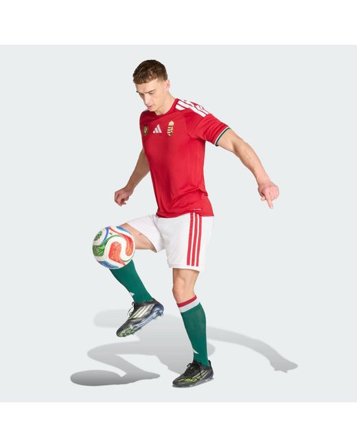 Adidas Red Hungary 26 Home Shorts for men