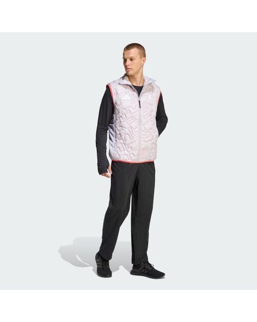 Adidas Gray Team D Primaloft Vest for men