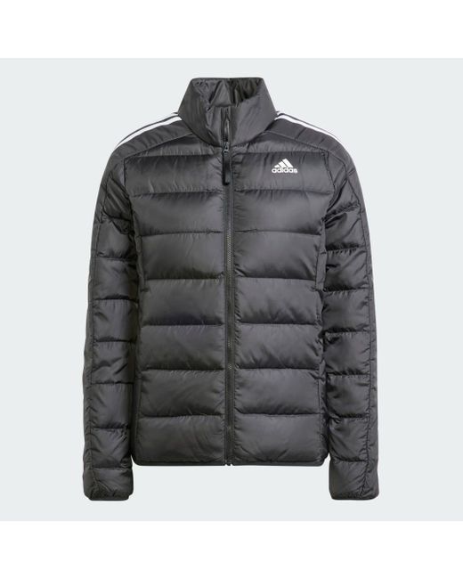 Adidas Blue Essentials 3-stripes Light Down Jacket