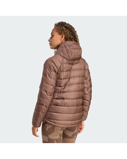 Adidas Brown Terrex Xperior Climawarm+ Down Hooded Jacket