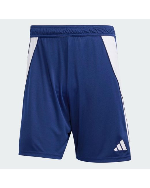 Adidas Blue Tiro 24 Training 2-in-1 Shorts for men
