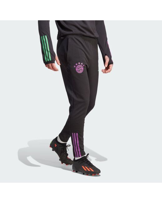 Pantaloni da allenamento Tiro 23 FC Bayern München di Adidas in Black da Uomo