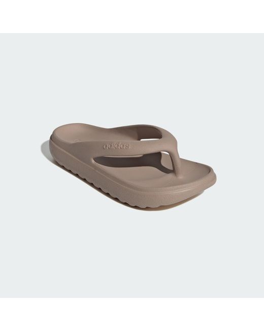 Adidas Brown Adilette Lumia Slides