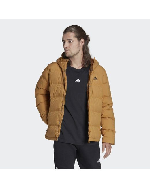 Adidas Brown Helionic Hooded Down Jacket for men