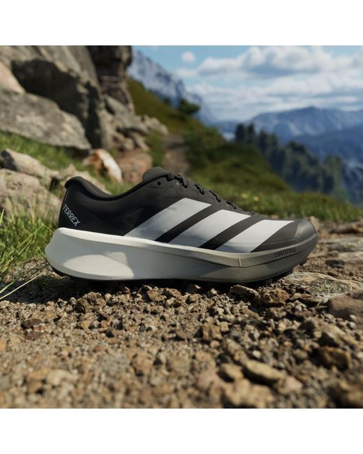 Adidas Blue Terrex Agravic 4 Trail Running Shoes for men