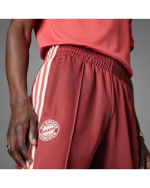 Adidas Red Fc Bayern Track Pants for men