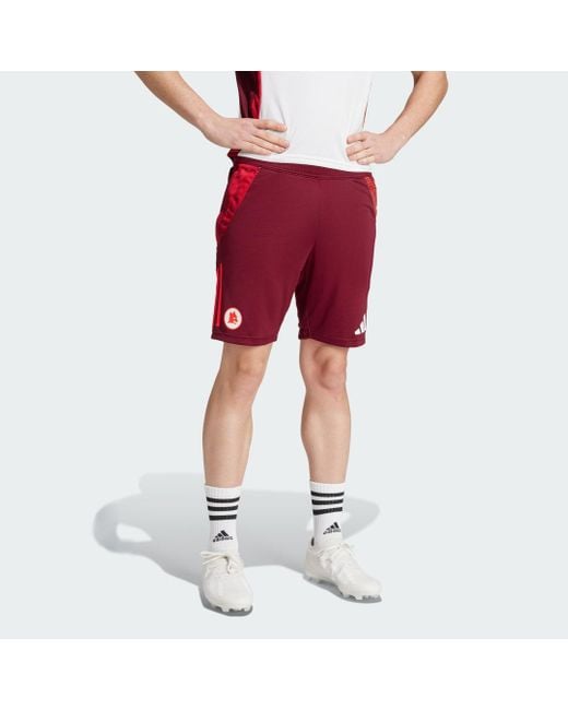 Adidas Red As Roma Tiro 24 Competition Training Shorts for men