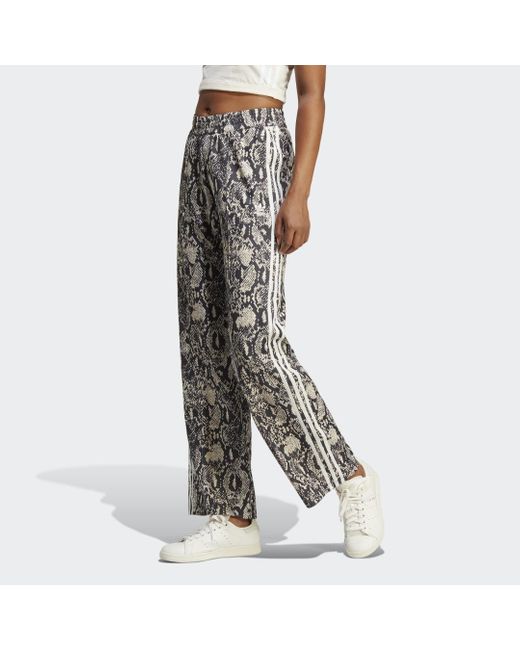 Track pants Python di Adidas in Brown