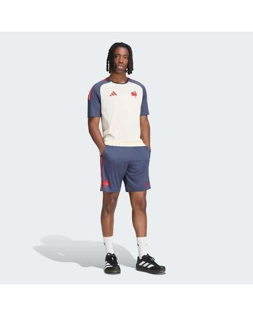 Adidas Blue France Rugby Gym Shorts for men