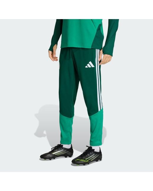 Adidas Green Algeria 26 Training Pants for men