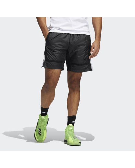 n3xt l3v3l shorts