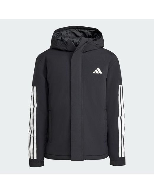 Adidas Black Climawarm 3-Stripes Insulated Hooded Jacket for men