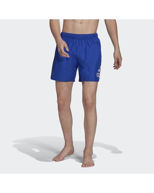 Clx Short Length Swim di Adidas in Blue da Uomo
