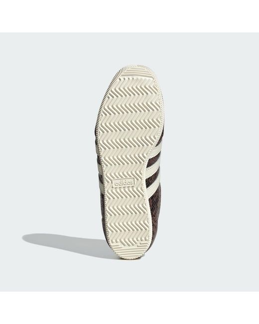 Adidas Brown Japan Shoes