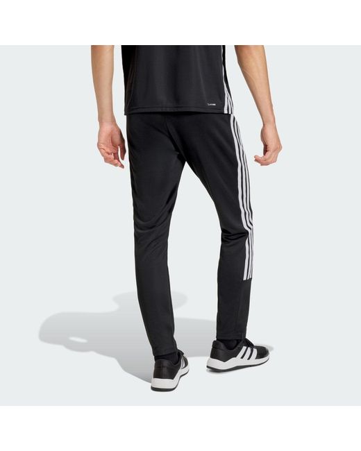 Adidas Black Workout Essentials All-Set 3-Stripes Knit Pant for men