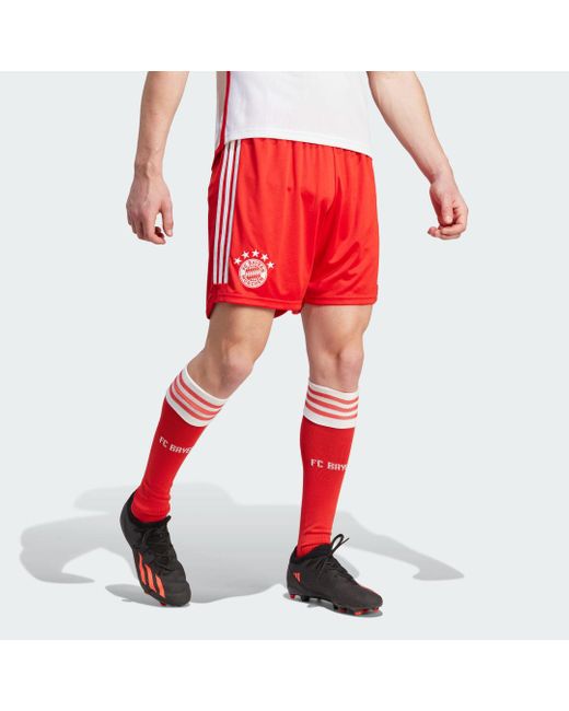 Adidas Red Fc Bayern 23/24 Home Shorts for men